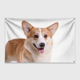 Флаг-баннер с принтом Пемброк-вельш-корги в Тюмени, 100% полиэстер | размер 67 х 109 см, плотность ткани — 95 г/м2; по краям флага есть четыре люверса для крепления | животное | пемброк вельш корги | порода | собака