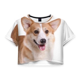 Женская футболка 3D укороченная с принтом Пемброк-вельш-корги в Тюмени, 100% полиэстер | круглая горловина, длина футболки до линии талии, рукава с отворотами | животное | пемброк вельш корги | порода | собака