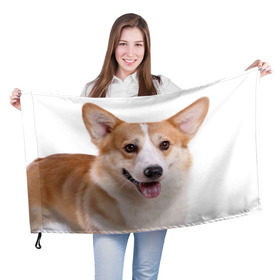Флаг 3D с принтом Пемброк-вельш-корги в Тюмени, 100% полиэстер | плотность ткани — 95 г/м2, размер — 67 х 109 см. Принт наносится с одной стороны | животное | пемброк вельш корги | порода | собака