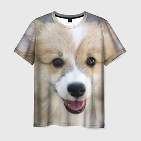 Мужская футболка 3D с принтом Пемброк-вельш-корги, собака, п в Тюмени, 100% полиэфир | прямой крой, круглый вырез горловины, длина до линии бедер | Тематика изображения на принте: животное | пемброк вельш корги | порода | собака