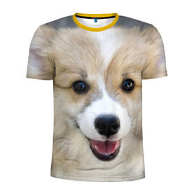 Мужская футболка 3D спортивная с принтом Пемброк-вельш-корги, собака, п в Тюмени, 100% полиэстер с улучшенными характеристиками | приталенный силуэт, круглая горловина, широкие плечи, сужается к линии бедра | Тематика изображения на принте: животное | пемброк вельш корги | порода | собака