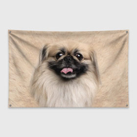 Флаг-баннер с принтом Пекинес в Тюмени, 100% полиэстер | размер 67 х 109 см, плотность ткани — 95 г/м2; по краям флага есть четыре люверса для крепления | животное | пекинес | порода | собака