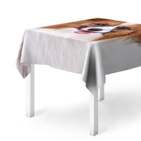 Скатерть 3D с принтом Папийон в Тюмени, 100% полиэстер (ткань не мнется и не растягивается) | Размер: 150*150 см | животное | папийон | порода | собака
