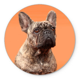 Коврик круглый с принтом Французский бульдог в Тюмени, резина и полиэстер | круглая форма, изображение наносится на всю лицевую часть | животное | порода | собака | французский бульдог