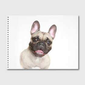 Альбом для рисования с принтом Французский бульдог в Тюмени, 100% бумага
 | матовая бумага, плотность 200 мг. | Тематика изображения на принте: животное | порода | собака | французский бульдог