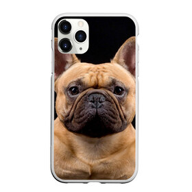 Чехол для iPhone 11 Pro Max матовый с принтом Французский бульдог в Тюмени, Силикон |  | Тематика изображения на принте: животное | порода | собака | французский бульдог