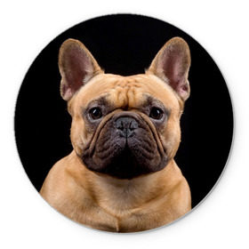 Коврик круглый с принтом Французский бульдог в Тюмени, резина и полиэстер | круглая форма, изображение наносится на всю лицевую часть | животное | порода | собака | французский бульдог