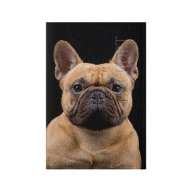 Обложка для паспорта матовая кожа с принтом Французский бульдог в Тюмени, натуральная матовая кожа | размер 19,3 х 13,7 см; прозрачные пластиковые крепления | животное | порода | собака | французский бульдог