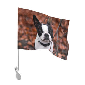 Флаг для автомобиля с принтом Бостон Терьер в Тюмени, 100% полиэстер | Размер: 30*21 см | животное | порода | собака | французский бульдог