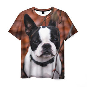 Мужская футболка 3D с принтом Бостон Терьер в Тюмени, 100% полиэфир | прямой крой, круглый вырез горловины, длина до линии бедер | Тематика изображения на принте: животное | порода | собака | французский бульдог