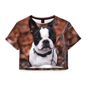 Женская футболка 3D укороченная с принтом Бостон Терьер в Тюмени, 100% полиэстер | круглая горловина, длина футболки до линии талии, рукава с отворотами | животное | порода | собака | французский бульдог