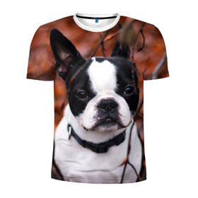 Мужская футболка 3D спортивная с принтом Бостон Терьер в Тюмени, 100% полиэстер с улучшенными характеристиками | приталенный силуэт, круглая горловина, широкие плечи, сужается к линии бедра | животное | порода | собака | французский бульдог