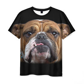 Мужская футболка 3D с принтом Французский бульдог в Тюмени, 100% полиэфир | прямой крой, круглый вырез горловины, длина до линии бедер | животное | порода | собака | французский бульдог