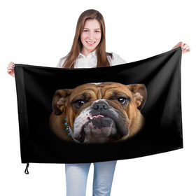 Флаг 3D с принтом Французский бульдог в Тюмени, 100% полиэстер | плотность ткани — 95 г/м2, размер — 67 х 109 см. Принт наносится с одной стороны | животное | порода | собака | французский бульдог