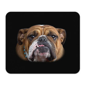 Коврик прямоугольный с принтом Французский бульдог в Тюмени, натуральный каучук | размер 230 х 185 мм; запечатка лицевой стороны | Тематика изображения на принте: животное | порода | собака | французский бульдог