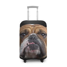 Чехол для чемодана 3D с принтом Французский бульдог в Тюмени, 86% полиэфир, 14% спандекс | двустороннее нанесение принта, прорези для ручек и колес | Тематика изображения на принте: животное | порода | собака | французский бульдог