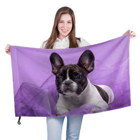 Флаг 3D с принтом Французский бульдог в Тюмени, 100% полиэстер | плотность ткани — 95 г/м2, размер — 67 х 109 см. Принт наносится с одной стороны | животное | порода | собака | французский бульдог