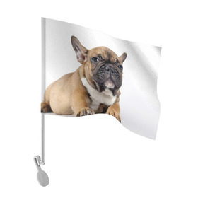 Флаг для автомобиля с принтом Французский бульдог в Тюмени, 100% полиэстер | Размер: 30*21 см | животное | порода | собака | французский бульдог