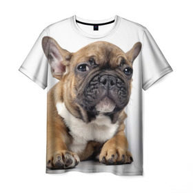 Мужская футболка 3D с принтом Французский бульдог в Тюмени, 100% полиэфир | прямой крой, круглый вырез горловины, длина до линии бедер | Тематика изображения на принте: животное | порода | собака | французский бульдог
