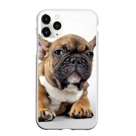 Чехол для iPhone 11 Pro матовый с принтом Французский бульдог в Тюмени, Силикон |  | животное | порода | собака | французский бульдог