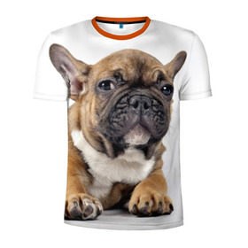 Мужская футболка 3D спортивная с принтом Французский бульдог в Тюмени, 100% полиэстер с улучшенными характеристиками | приталенный силуэт, круглая горловина, широкие плечи, сужается к линии бедра | животное | порода | собака | французский бульдог