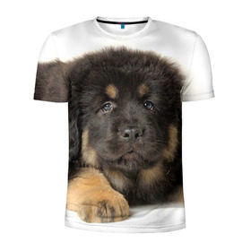 Мужская футболка 3D спортивная с принтом Тибетский мастиф в Тюмени, 100% полиэстер с улучшенными характеристиками | приталенный силуэт, круглая горловина, широкие плечи, сужается к линии бедра | животное | порода | собака
