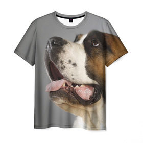 Мужская футболка 3D с принтом Сенбернар в Тюмени, 100% полиэфир | прямой крой, круглый вырез горловины, длина до линии бедер | животное | порода | сенбернар | собака