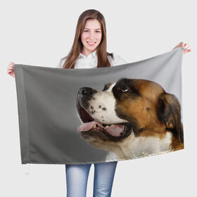 Флаг 3D с принтом Сенбернар в Тюмени, 100% полиэстер | плотность ткани — 95 г/м2, размер — 67 х 109 см. Принт наносится с одной стороны | животное | порода | сенбернар | собака