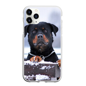 Чехол для iPhone 11 Pro матовый с принтом Ротвейлер в Тюмени, Силикон |  | животное | порода | ротвейлер | собака