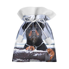 Подарочный 3D мешок с принтом Ротвейлер в Тюмени, 100% полиэстер | Размер: 29*39 см | животное | порода | ротвейлер | собака