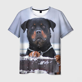 Мужская футболка 3D с принтом Ротвейлер в Тюмени, 100% полиэфир | прямой крой, круглый вырез горловины, длина до линии бедер | Тематика изображения на принте: животное | порода | ротвейлер | собака