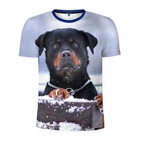 Мужская футболка 3D спортивная с принтом Ротвейлер в Тюмени, 100% полиэстер с улучшенными характеристиками | приталенный силуэт, круглая горловина, широкие плечи, сужается к линии бедра | животное | порода | ротвейлер | собака