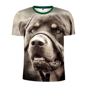 Мужская футболка 3D спортивная с принтом Ротвейлер в Тюмени, 100% полиэстер с улучшенными характеристиками | приталенный силуэт, круглая горловина, широкие плечи, сужается к линии бедра | Тематика изображения на принте: животное | порода | ротвейлер | собака