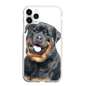 Чехол для iPhone 11 Pro матовый с принтом Ротвейлер в Тюмени, Силикон |  | животное | порода | ротвейлер | собака