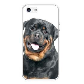 Чехол для iPhone 5/5S матовый с принтом Ротвейлер в Тюмени, Силикон | Область печати: задняя сторона чехла, без боковых панелей | животное | порода | ротвейлер | собака