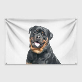 Флаг-баннер с принтом Ротвейлер в Тюмени, 100% полиэстер | размер 67 х 109 см, плотность ткани — 95 г/м2; по краям флага есть четыре люверса для крепления | животное | порода | ротвейлер | собака