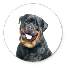 Коврик круглый с принтом Ротвейлер в Тюмени, резина и полиэстер | круглая форма, изображение наносится на всю лицевую часть | животное | порода | ротвейлер | собака