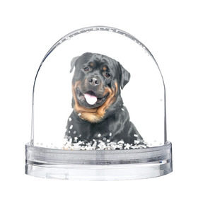 Снежный шар с принтом Ротвейлер в Тюмени, Пластик | Изображение внутри шара печатается на глянцевой фотобумаге с двух сторон | животное | порода | ротвейлер | собака