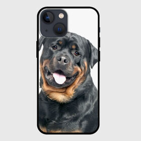 Чехол для iPhone 13 mini с принтом Ротвейлер в Тюмени,  |  | животное | порода | ротвейлер | собака