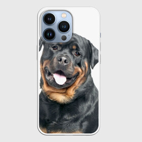Чехол для iPhone 13 Pro с принтом Ротвейлер в Тюмени,  |  | животное | порода | ротвейлер | собака
