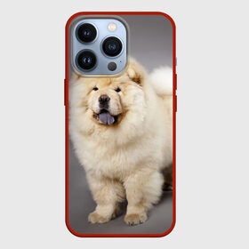 Чехол для iPhone 13 Pro с принтом Чау чау в Тюмени,  |  | животное | порода | собака | чау чау