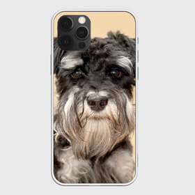 Чехол для iPhone 12 Pro Max с принтом Цвергшнауцер в Тюмени, Силикон |  | животное | порода | собака | цвергшнауцер