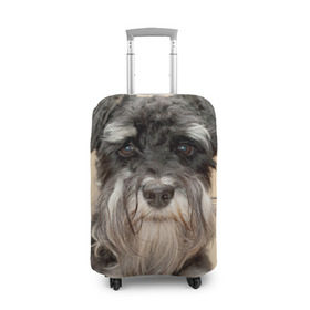 Чехол для чемодана 3D с принтом Цвергшнауцер в Тюмени, 86% полиэфир, 14% спандекс | двустороннее нанесение принта, прорези для ручек и колес | животное | порода | собака | цвергшнауцер