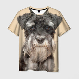 Мужская футболка 3D с принтом Цвергшнауцер в Тюмени, 100% полиэфир | прямой крой, круглый вырез горловины, длина до линии бедер | животное | порода | собака | цвергшнауцер