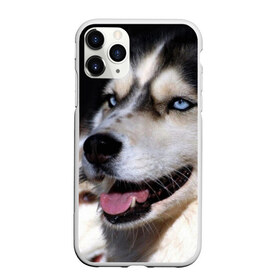 Чехол для iPhone 11 Pro матовый с принтом Хаски в Тюмени, Силикон |  | животное | порода | собака | хаски
