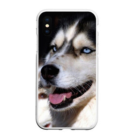 Чехол для iPhone XS Max матовый с принтом Хаски в Тюмени, Силикон | Область печати: задняя сторона чехла, без боковых панелей | животное | порода | собака | хаски