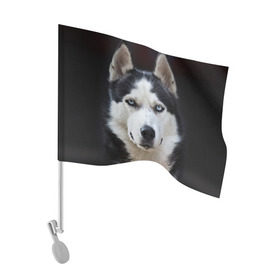 Флаг для автомобиля с принтом Хаски в Тюмени, 100% полиэстер | Размер: 30*21 см | бандит | животное | порода | собака | хаски | хаски бандит
