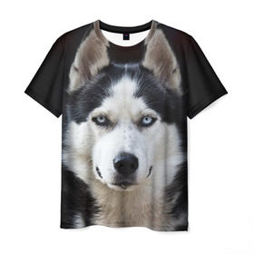 Мужская футболка 3D с принтом Хаски в Тюмени, 100% полиэфир | прямой крой, круглый вырез горловины, длина до линии бедер | бандит | животное | порода | собака | хаски | хаски бандит