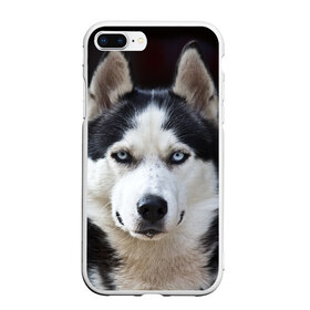 Чехол для iPhone 7Plus/8 Plus матовый с принтом Хаски в Тюмени, Силикон | Область печати: задняя сторона чехла, без боковых панелей | бандит | животное | порода | собака | хаски | хаски бандит