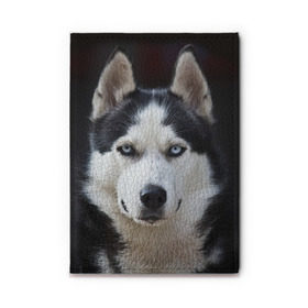 Обложка для автодокументов с принтом Хаски в Тюмени, натуральная кожа |  размер 19,9*13 см; внутри 4 больших “конверта” для документов и один маленький отдел — туда идеально встанут права | бандит | животное | порода | собака | хаски | хаски бандит